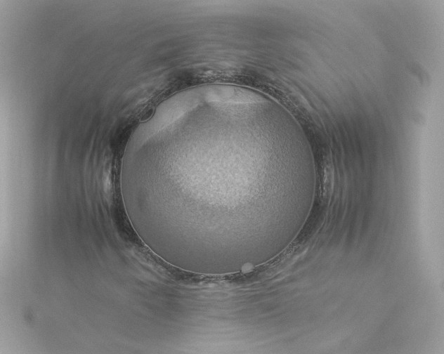 X0000115561250200911201815