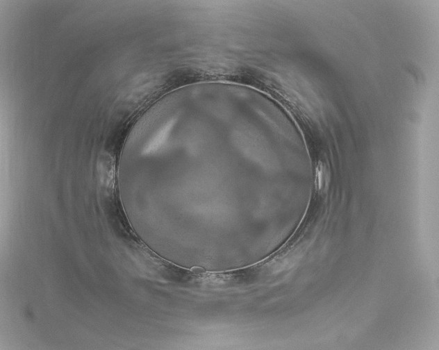 X0000115561251200911201815