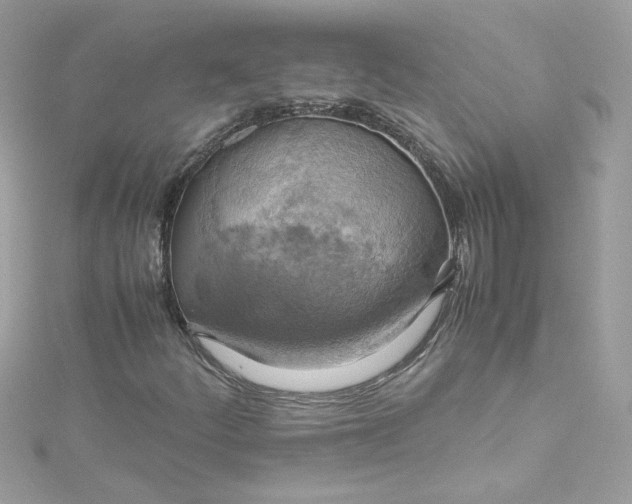 X0000115561252200911201815