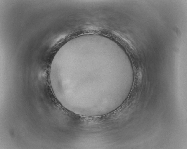 X0000115561254200911201815