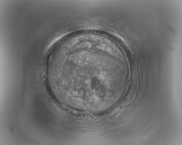 X0000115561255200911201815