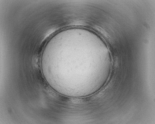 X0000115561258200911201815