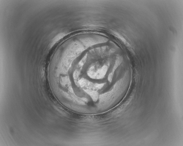 X0000115561259200911201815