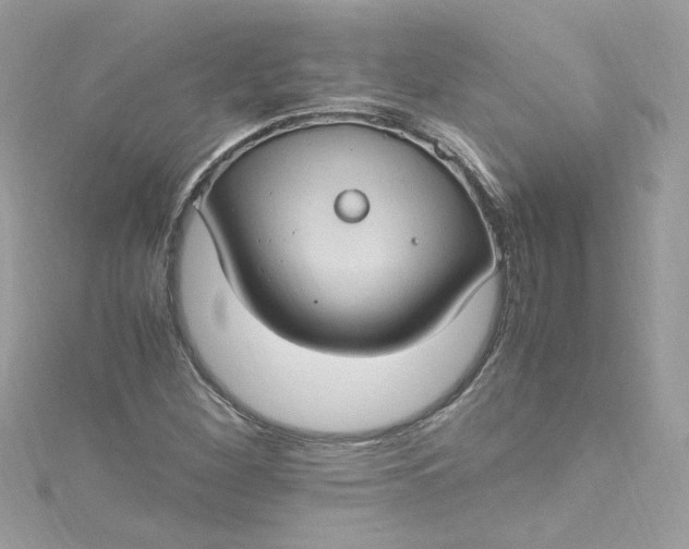 X0000115561260200911201815