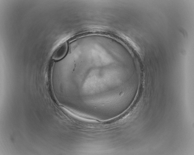 X0000115561261200911201815