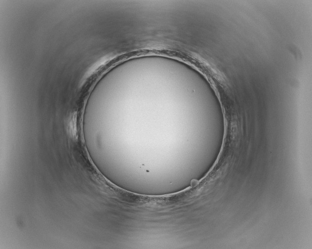 X0000115561262200911201815