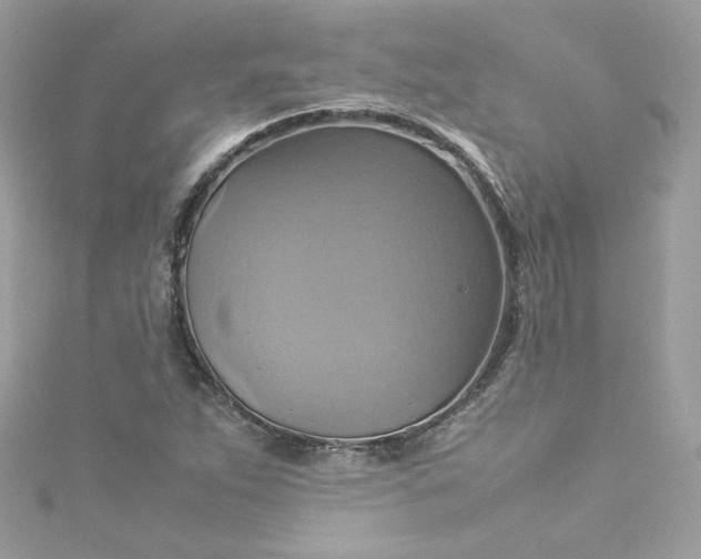 X0000115561263200911201815