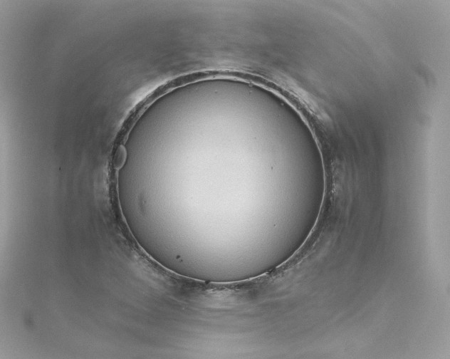 X0000115561264200911201815