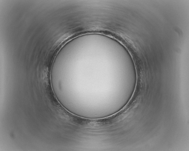 X0000115561265200911201815