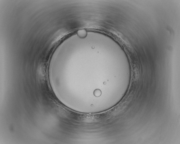 X0000115561266200911201815