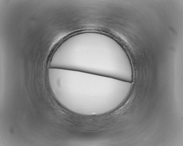 X0000115561267200911201815