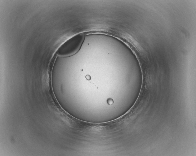 X0000115561268200911201815