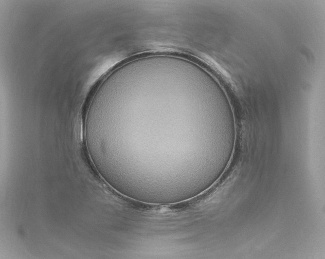 X0000115561269200911201815