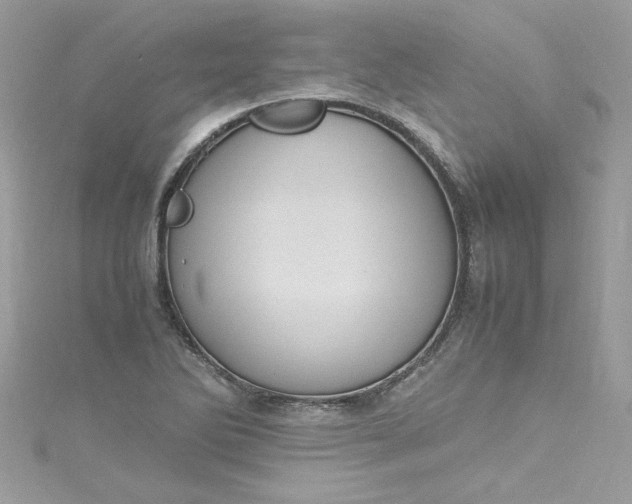 X0000115561270200911201815