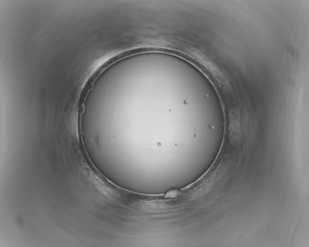 X0000115561272200911201815