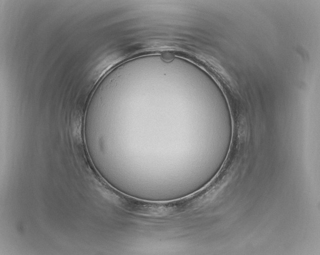 X0000115561273200911201815