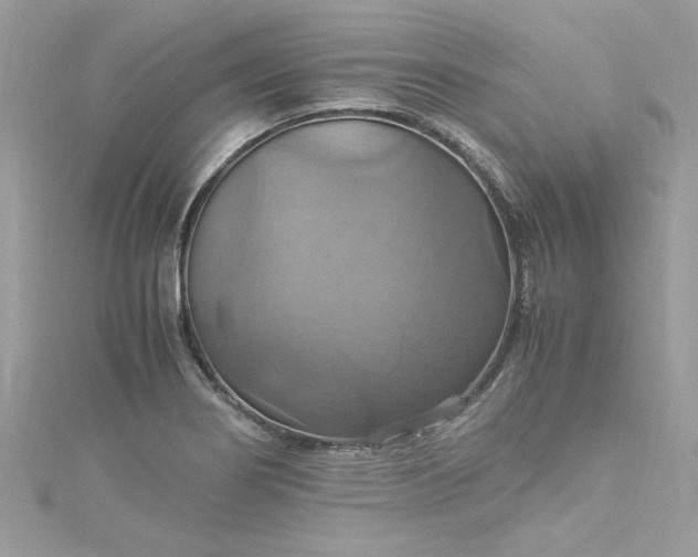 X0000115561274200911201815