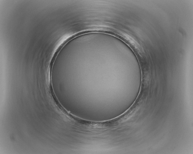 X0000115561275200911201815