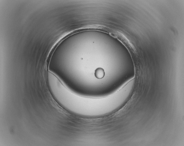 X0000115561276200911201815