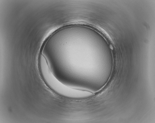 X0000115561277200911201815