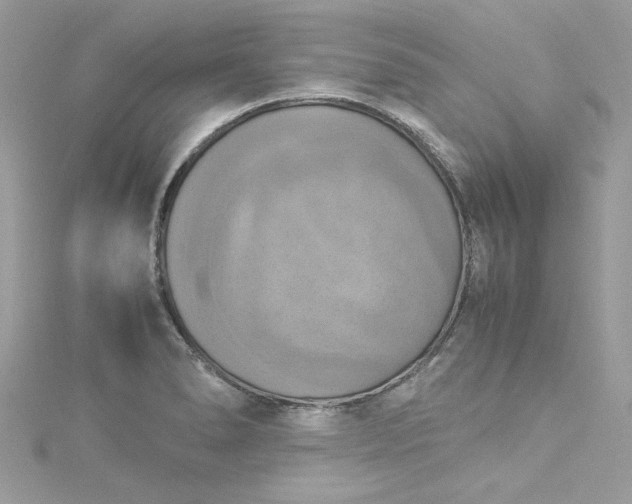 X0000115561278200911201815