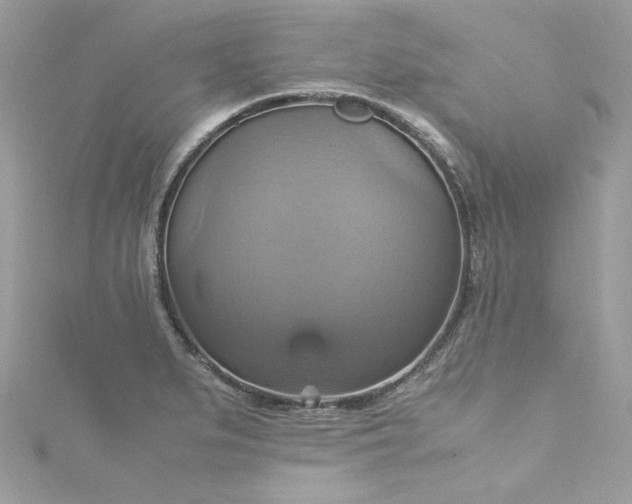 X0000115561279200911201815