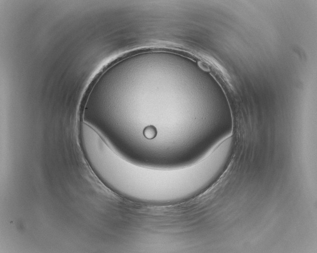 X0000115561280200911201815