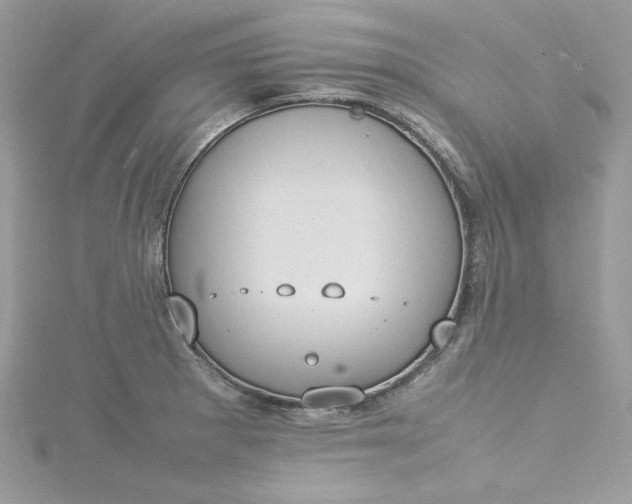 X0000115561281200911201815