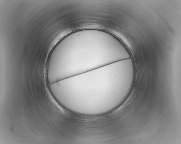 X0000115561282200911201815