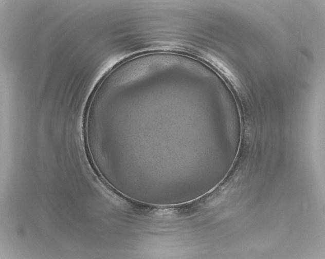 X0000115561283200911201815