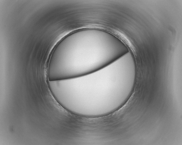 X0000115561284200911201815