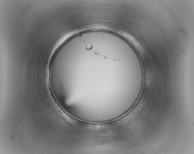 X0000115561286200911201815