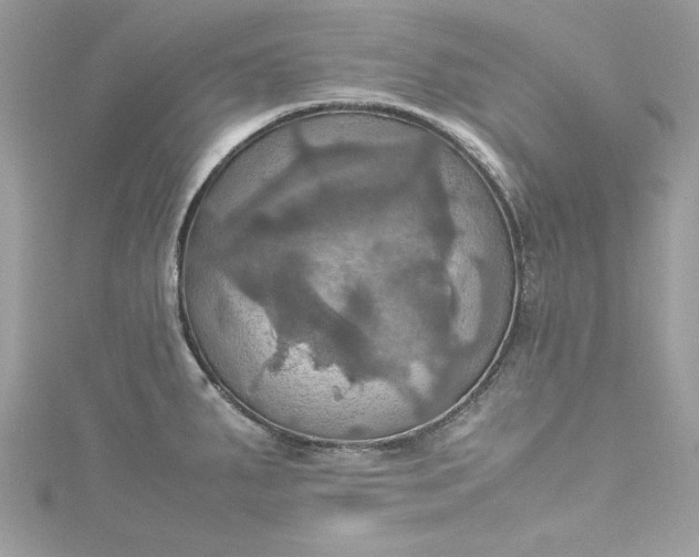 X0000115561287200911201815