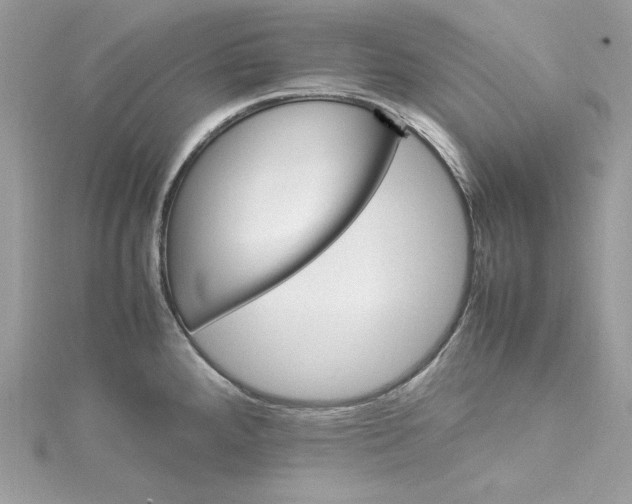 X0000115561288200911201815