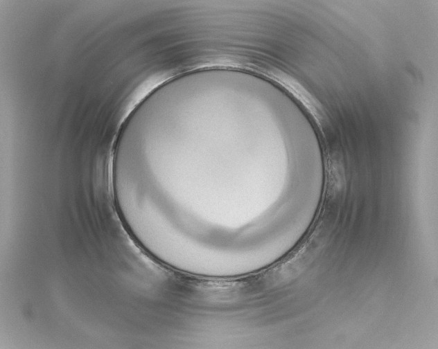 X0000115561290200911201815