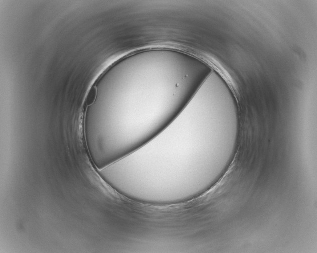 X0000115561292200911201815