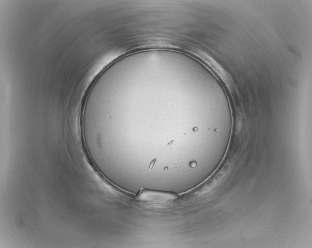 X0000115561293200911201815