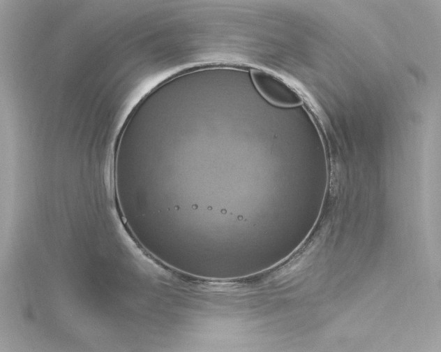 X0000115561295200911201815