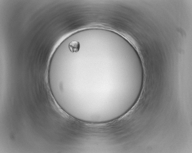 X0000115561296200911201815