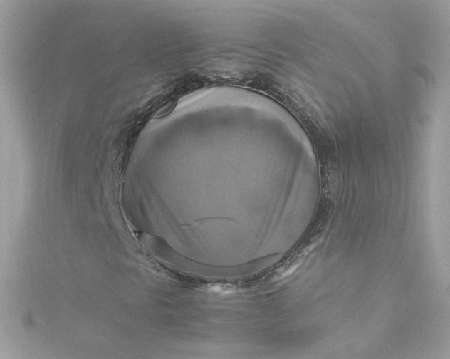 X0000115561297200911201814