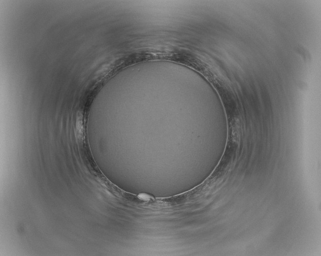 X0000115561298200911201814