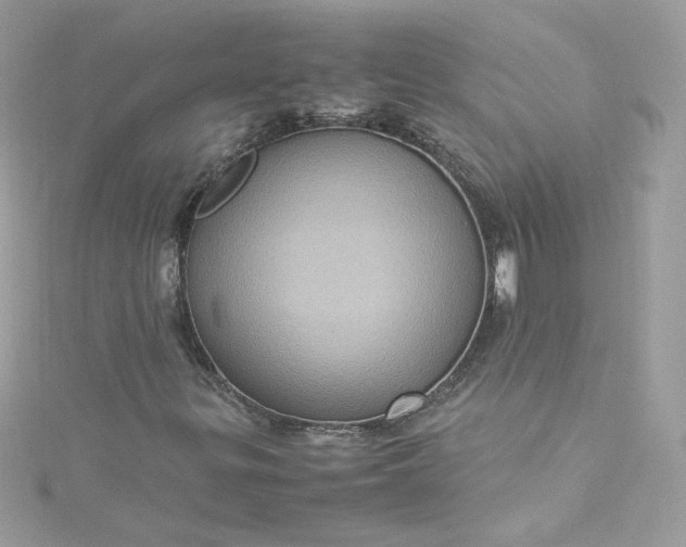 X0000115561299200911201814