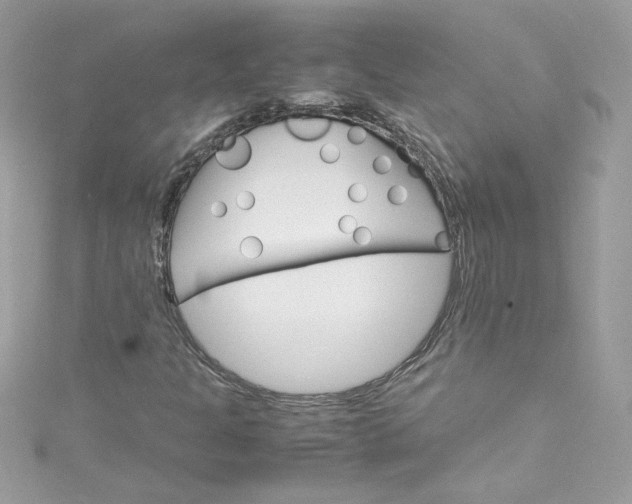 X0000115561301200911201814