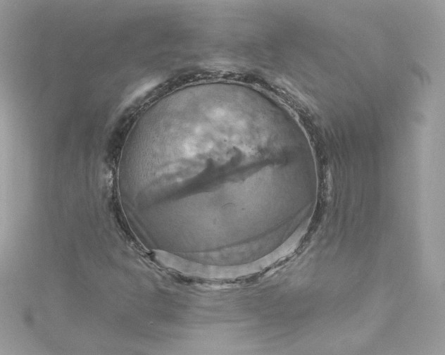 X0000115561302200911201814