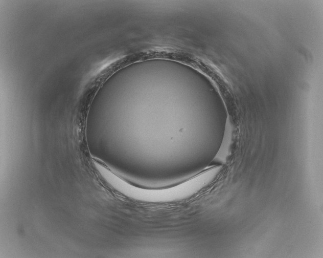 X0000115561303200911201814