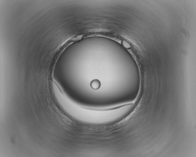 X0000115561305200911201814