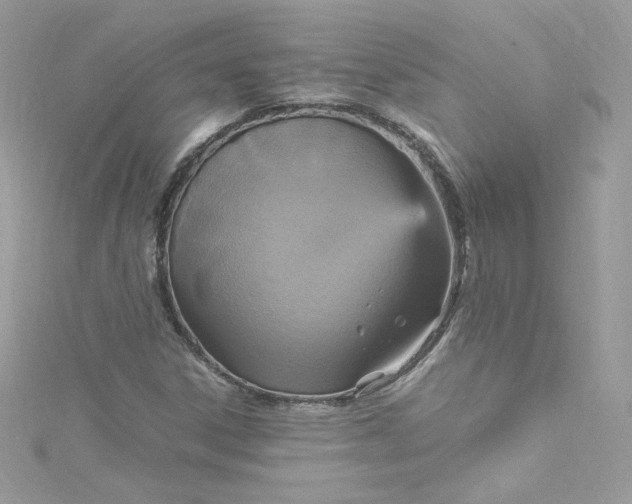 X0000115561306200911201814