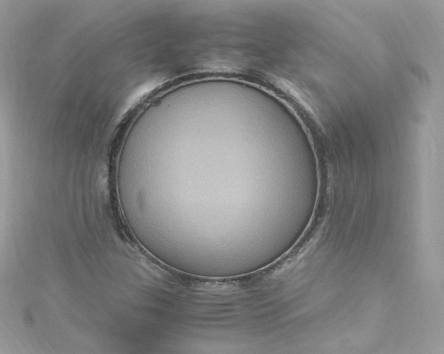 X0000115561307200911201814