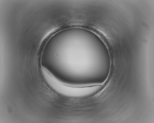 X0000115561309200911201814