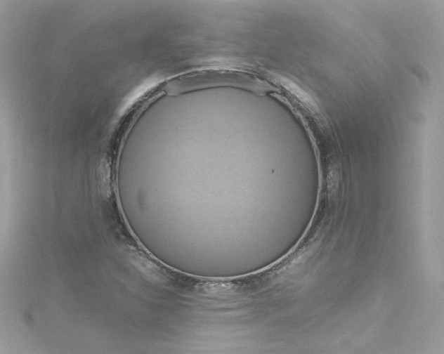 X0000115561310200911201814